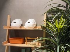-施奈儿.洗头頭療.按摩SPA.采耳(上梅林店)