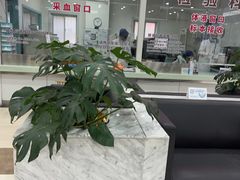 -上海仁爱医院