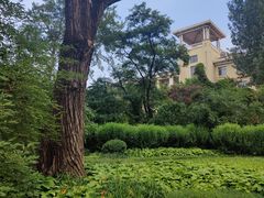 -老虎石海上公园