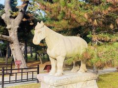 -北陵公园