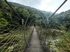 -海南热带雨林国家公园吊罗山景区