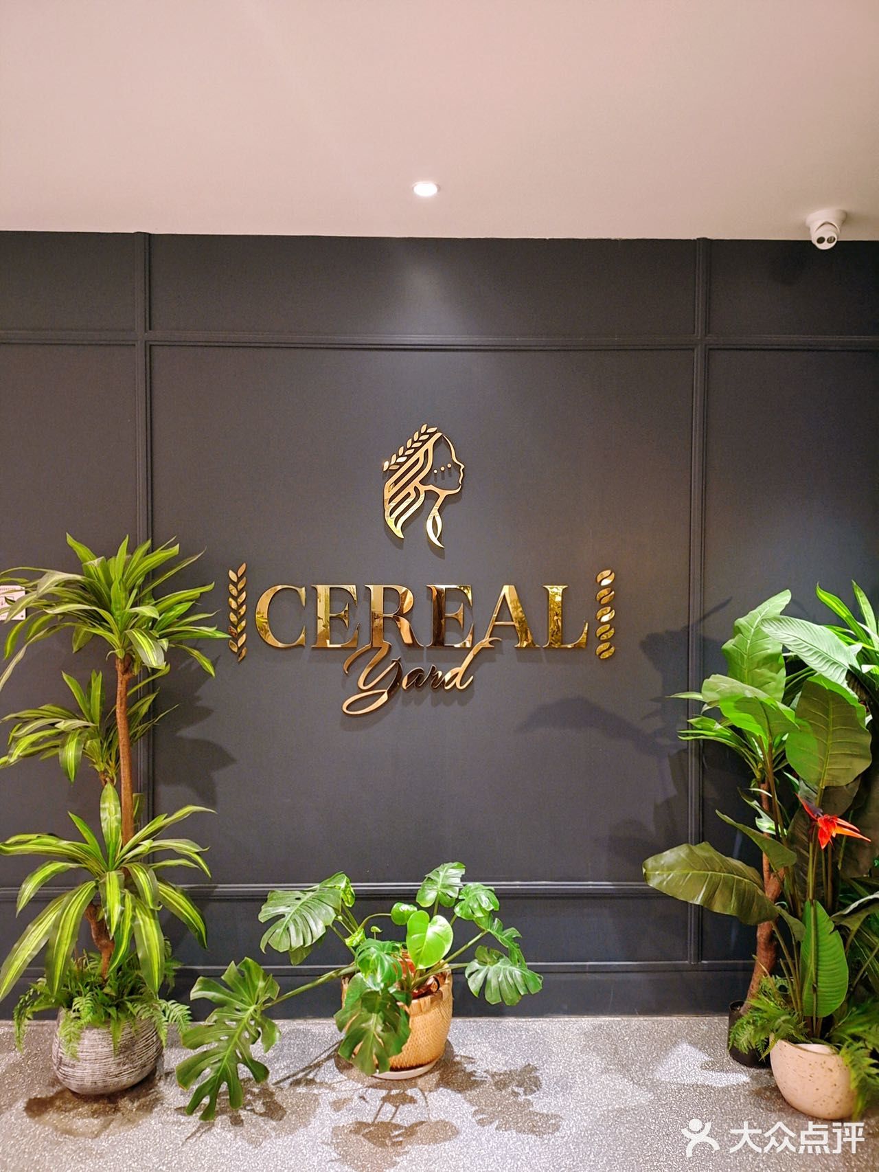 金秋来袭 魔都小资生活