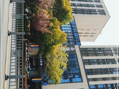 -苏宁天御商业广场