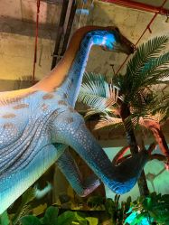 -恐龙探索乐园(磁器口店)