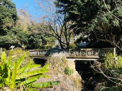 -雁南飞茶田景区