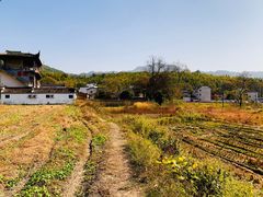-塔川景区
