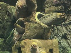 -珠海长隆海洋王国
