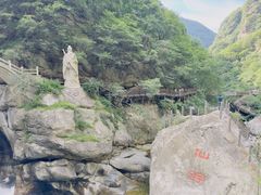 -陕西省红河谷森林公园