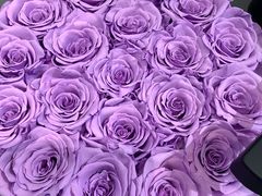 -ROSEONLY诺誓(青岛万象城店)