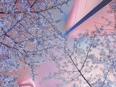 -陆家嘴中心绿地