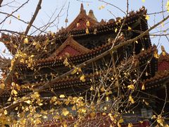 -东华门大街小区