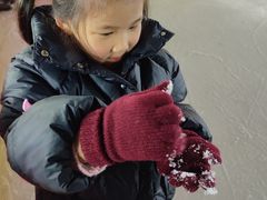 -松江大学城体育馆滑冰馆