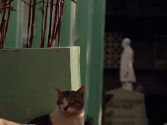 -圣弥额尔小堂