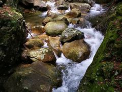 -祁门牯牛降观音堂风景区