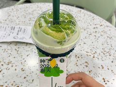 -茉酸奶(春熙路店)