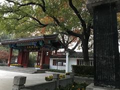 -百脉泉景区