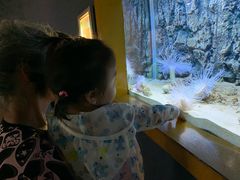 -北戴河圣蓝海洋公园