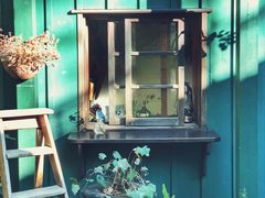 景点-三鹰之森吉卜力美术馆