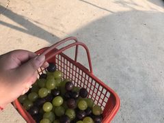-汤山欢乐水世界