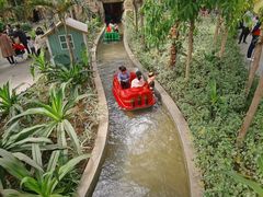 -南宫五洲植物乐园