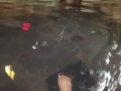 -湖泉半山温泉(湖泉生态园)