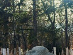 -长春世界雕塑园冰雪艺术天地