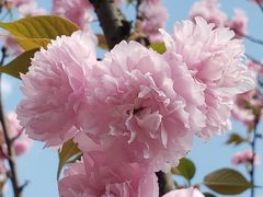 -观澜湖生态运动公社