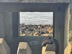 -上海滨江森林公园