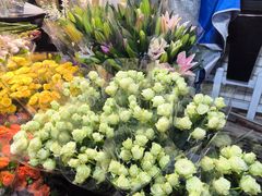 -循礼门鲜花花市(武汉循礼门店)