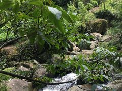 -藏龙百瀑风景区