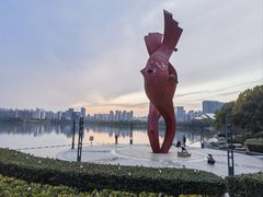 -天鹅湖体育公园