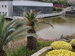 -厦门国家会计学院