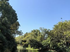 -蠡湖中央公园