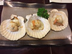 扇贝-左舞日本料理