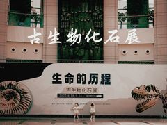 -温州博物馆