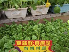 -金陵后厨·南京菜(新街口秣陵路店)