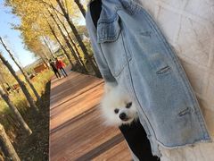 -百年石锅饭·朝鲜族传统民餐