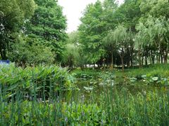 -陈家山荷花公园
