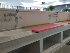 -沥鲨亲子游泳俱乐部(金沙洲中心)