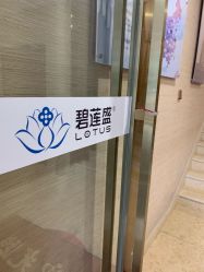 -碧莲盛·不剃发植发