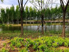 -东郊湿地公园