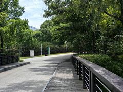-九里河湿地公园