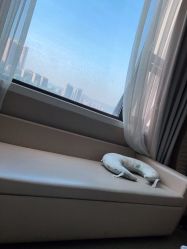 点击看大图 -重庆安琪儿妇产医院-妇幼保健联盟医院