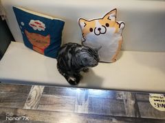 -小时光咖啡馆(北锣鼓巷店)