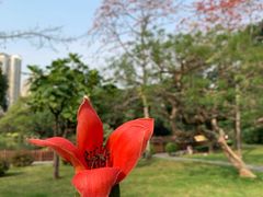 -晓港公园
