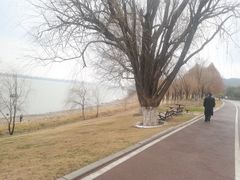-滨江生态公园