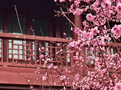-堤角公园