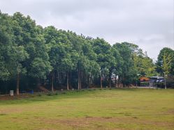 -长沙小顽国景区