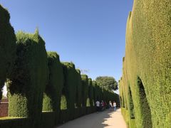-阿尔罕布拉宫