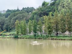 -君临七星生态酒店